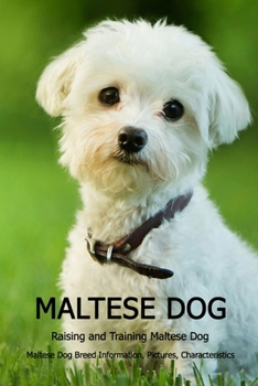 Paperback Maltese Dog: Raising and Training Maltese Dog - Maltese Dog Breed Information, Pictures, Characteristics ...: Complete Pet Owner's Book