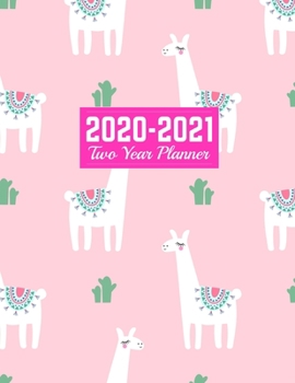 Paperback 2020-2021 Two Year Planner: Daily Weekly Monthly 2020-2021 Planner Organizer, Agenda, Schedule and To Do List Journal - Art Cover 00023188 Book