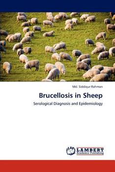 Paperback Brucellosis in Sheep Book