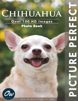 Paperback Chihuahua: Picture Perfect Photo Book