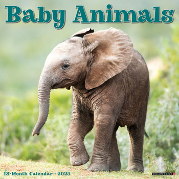 Calendar Baby Animals 2025 12 X 12 Wall Calendar Book