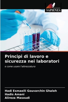 Paperback Principi di lavoro e sicurezza nei laboratori [Italian] Book