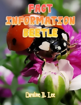 Fact Information Beetle: Beetle fact for girl age 1-10 Beetle fact for boy age 1-10 beetle information facts beetle habitats
