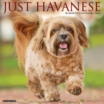 Calendar Just Havanese 2024 12 X 12 Wall Calendar Book