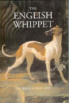 The English Whippet