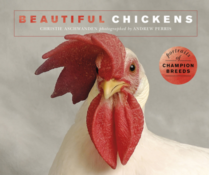 Paperback Beautiful Chickens: Portraits of Champion Breeds Book
