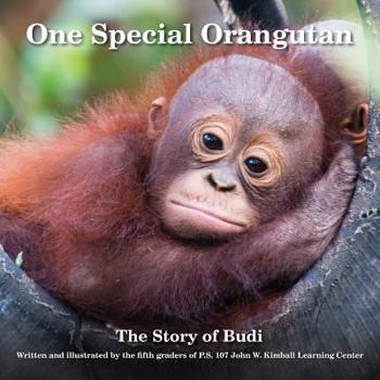 Paperback One Special Orangutan: The Story of Budi Book