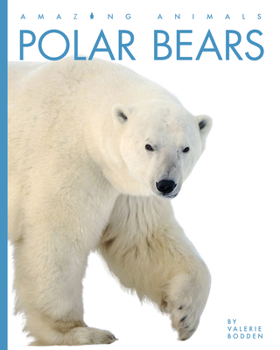 Polar Bears - Book  of the Animals are Amazing