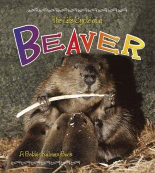 Paperback Beaver Book