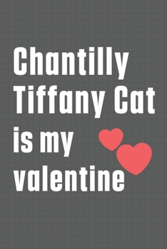 Chantilly Tiffany Cat is my valentine: For Chantilly Tiffany Cat Fans