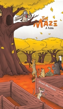 Hardcover The Maze Book