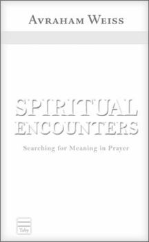 Hardcover Holistic Prayer: A Guide to Jewish Spirituality Book