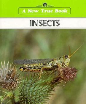 Library Binding Insects Book