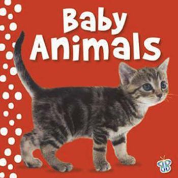 Board book Touch and Feel - Baby Animals Book