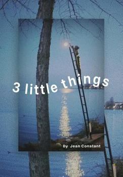 Hardcover 3 little things: New Year resolution Book