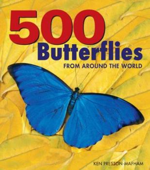 Hardcover 500 Butterflies: Butterflies from Around the World Book