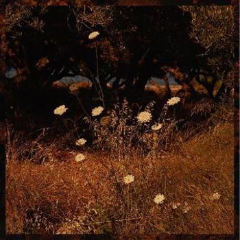 Vinyl Earth Patterns Book