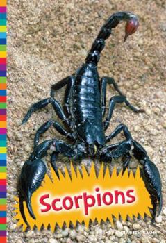 Paperback Scorpions Book