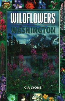 Paperback Wildflowers of Washington Book