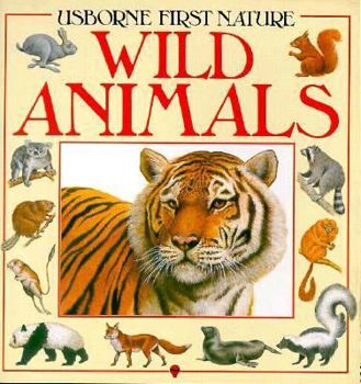 Paperback Wild Animals Book