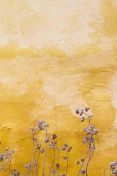 Paperback Garden in Bloom Notebook Book