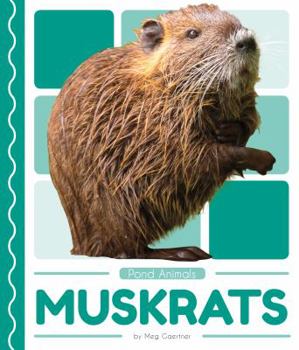 Library Binding Muskrats Book