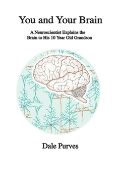 Paperback You and Your Brain: A Neuroscientist Explains the Brain to His 10 Year Old Grandson Book