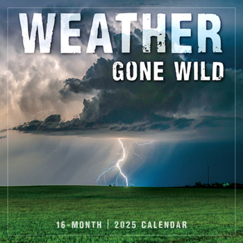 Office Product 2025 Weather Gone Wild Wall Calendar Book