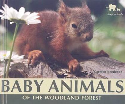 Library Binding Baby Animals of the Woodland Forest Book