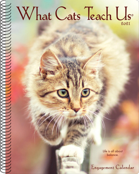 Calendar What Cats Teach Us 2021 Engagement Calendar Book