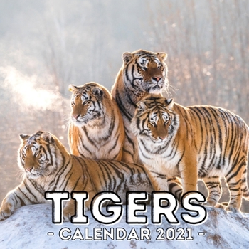 Paperback Tigers: 2021 Calendar, Cute Gift Idea For Tiger Lovers Men And Women Book