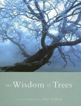 Paperback The Wisdom of Trees Book