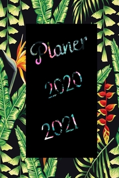 Paperback Planer 2020 / 2021: Tagesplaner f?r zwei Jahre / Plane und Organisiere f?r das Jahr 2020 und 2021 [German] Book