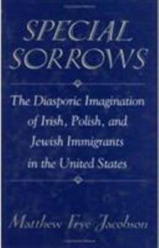 Hardcover Special Sorrows: The Diasporic Imagination of Irish, Polish, and Jewish Immigrants in the United States Book