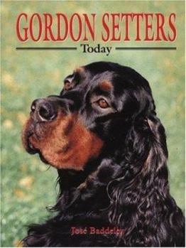 Hardcover Gordon Setters Today Book