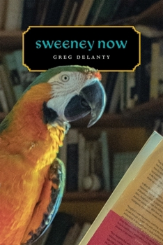 Paperback Sweeney Now Book