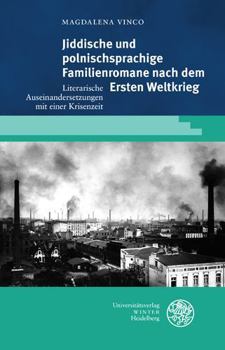 Hardcover Jiddische Und Polnischsprachige Familienromane Nach Dem Ersten Weltkrieg: Literarische Auseinandersetzungen Mit Einer Krisenzeit [German] Book