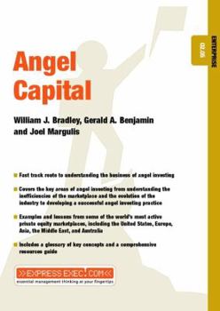 Paperback Angel Capital: Enterprise 02.05 Book