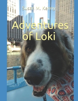 Paperback Adventures of Loki Book