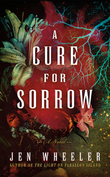 Paperback A Cure for Sorrow Book