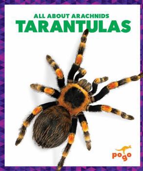 Paperback Tarantulas Book