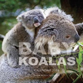 Paperback Baby Koalas Calendar 2019: 16 Month Calendar Book