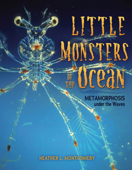 Paperback Little Monsters of the Ocean: Metamorphosis Under the Waves Book
