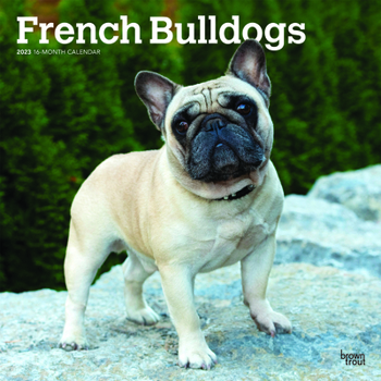 Calendar French Bulldogs 2023 Square Book