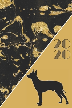 2020: 2020 Sunday Start Monthly Calendar and Organizer | Manchester Terrier Gift for Women