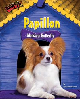 Papillon: Monsieur Butterfly - Book  of the Little Dogs Rock! II