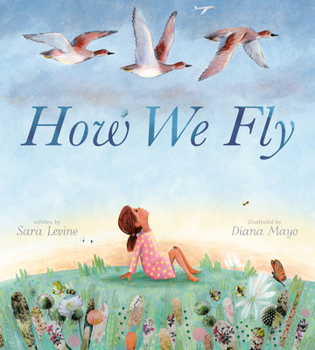 How We Fly