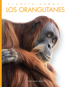 Paperback Los Orangutanes [Spanish] Book