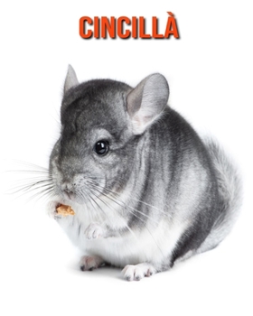 Cincill?: Immagini bellissime e fatti interessanti Libro per bambini sui Cincill?