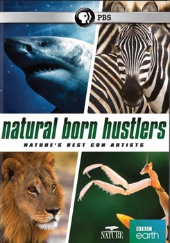 DVD Nature: Natural Born Hustlers Book